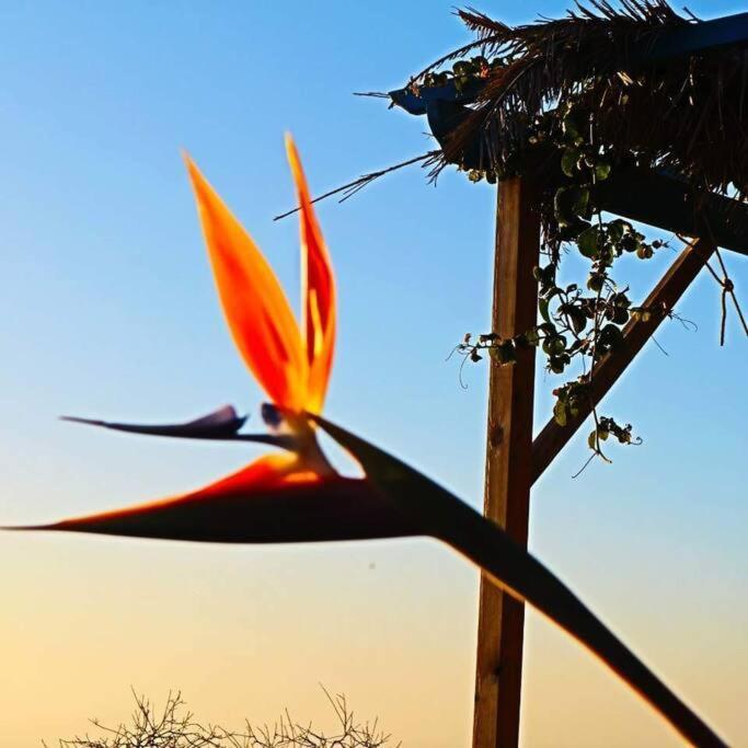 Casita En El Campo Con Vista Al Oceano Tijarafe Exterior foto